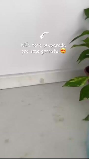 Vídeo