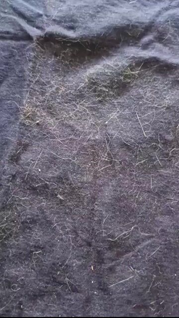 Vídeo