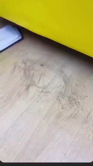 Vídeo