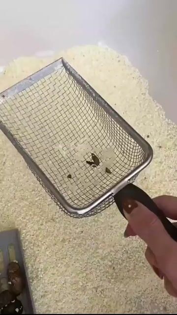 Vídeo