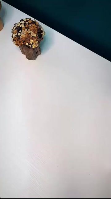 Vídeo